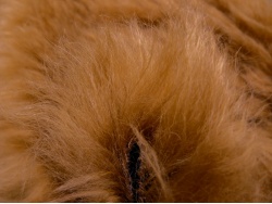 Schulte 65mm Cinnamon Long Mohair